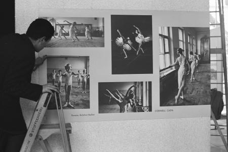 Man hanging photo's for an exposition